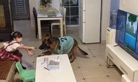 വീഡിയോ ദൃശ്യം