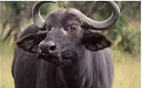 പ്രതീകാത്മക ചിത്രം