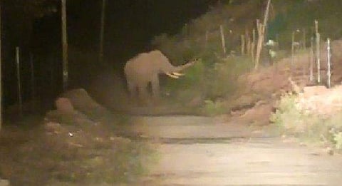 ടെലിവിഷന്‍ ദൃശ്യം