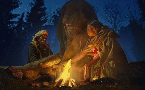 ദി എലിഫന്റ് വിസ്പേസ് പോസ്റ്റർ