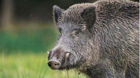 പ്രതീകാത്മക ചിത്രം