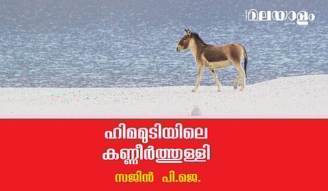 ചിലപ്പോള്‍ അങ്ങനെയാണ്, വഴികള്‍ നമ്മളെ നിര്‍ദ്ദാക്ഷിണ്യം പുറന്തള്ളും, അപ്രതീക്ഷിതങ്ങളെ പ്രതീക്ഷിക്കുന്നവരത്രെ യാത്രികര്‍...
