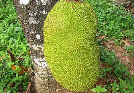 ഫയല്‍ ചിത്രം