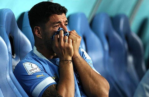 ഫോട്ടോ: ട്വിറ്റർ