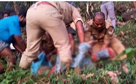 വീഡിയോ സ്‌ക്രീന്‍ഷോട്ട്‌