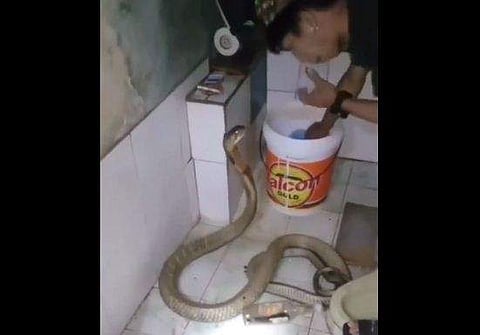 വീഡിയോ ദൃശ്യം