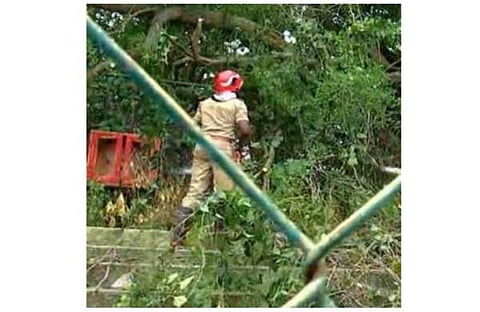 ഒടിഞ്ഞുവീണ മരച്ചില്ല മാറ്റാനുള്ള ശ്രമം/വീഡിയോ സ്‌ക്രീന്‍ഷോട്ട്