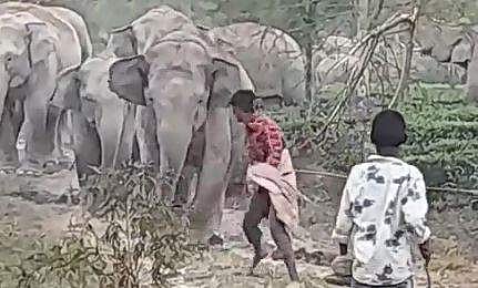 കുട്ടിയുടെ നേര്‍ക്ക് പാഞ്ഞടുക്കുന്ന കാട്ടാനയുടെ ദൃശ്യം