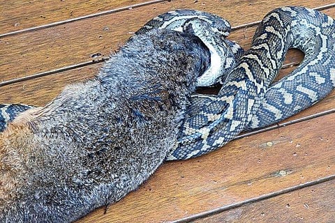 ഫോട്ടോ: ഫെയ്സ്ബുക്ക്