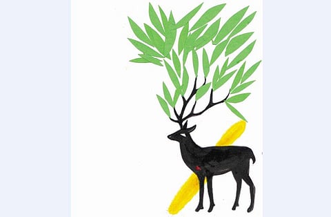 ചിത്രീകരണം: സജീന്ദ്രൻ കാറഡുക്ക