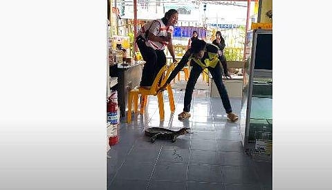 ഉടുമ്പിനെ കണ്ട് കരഞ്ഞ് ബഹളം വെയ്ക്കുന്ന സ്ത്രീയുടെ ദൃശ്യം