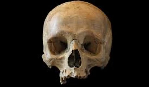 പ്രതീകാത്മക ചിത്രം