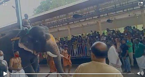 ഗുരുവായൂരില്‍ നടന്ന ആനയോട്ടത്തില്‍നിന്ന്‌