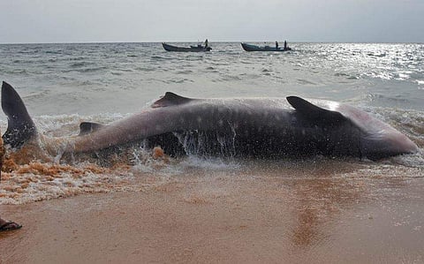 പ്രതീകാത്മക ചിത്രം