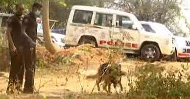 മൃതദേഹം കുഴിച്ചുമൂടിയ സ്ഥലത്ത് പൊലീസ് പരിശോധന