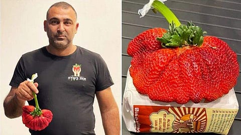 ഫോട്ടോ: ട്വിറ്റർ