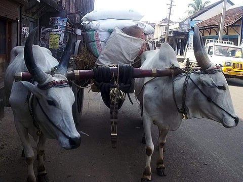 പ്രതീകാത്മക ചിത്രം
