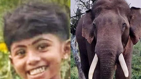 കാട്ടാനയുടെ ആക്രമണത്തില്‍ മരിച്ച അഞ്ചു വയസുകാരി ആഗ്നിമിയ