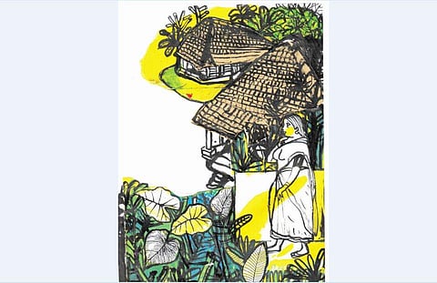 ചിത്രീകരണം: സചീന്ദ്രൻ കാറ‍ഡുക്ക