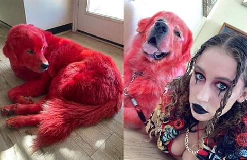 ചിത്രം: ഇൻസ്റ്റ​ഗ്രാം