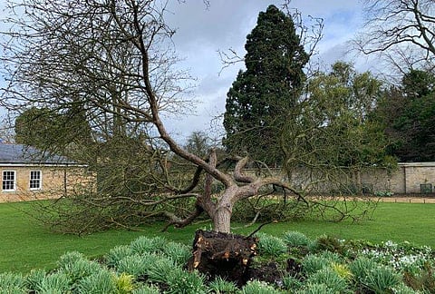 ഫോട്ടോ: ട്വിറ്റർ