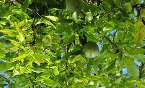 പ്രതീകാത്മക ചിത്രം