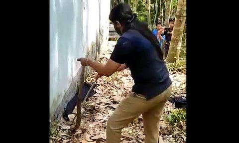 മൂര്‍ഖനെ വിദഗ്ധമായി പിടികൂടുന്ന വനംവകുപ്പ് ഉദ്യോഗസ്ഥയുടെ ദൃശ്യം