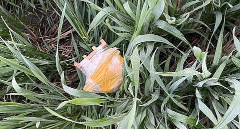 ചിത്രം: ബിഎസ്എഫ്