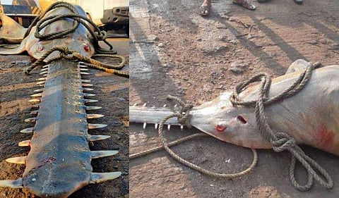 ചിത്രം; ട്വിറ്റർ