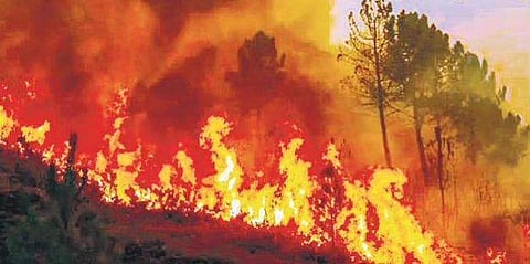 പ്രതീകാത്മക ചിത്രം