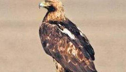 പ്രതീകാത്മക ചിത്രം