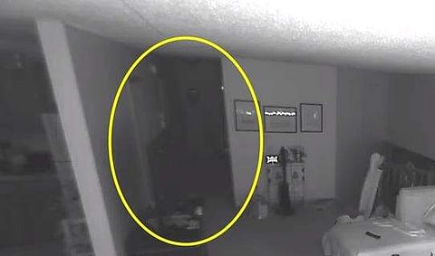 വീഡിയോ ദൃശ്യം