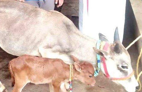 ചിത്രം; ഫേയ്സ്ബുക്ക്