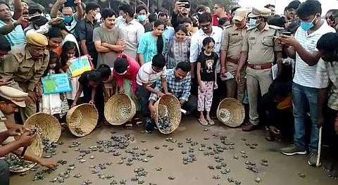 വിശാഖപട്ടണത്ത് ആമക്കുഞ്ഞുങ്ങളെ കടലിലേക്ക് വിടുന്ന ദൃശ്യം, ഫോട്ടോ: എക്‌സ്പ്രസ്‌