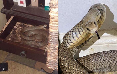 ചിത്രം : ഫേസ്ബുക്ക്