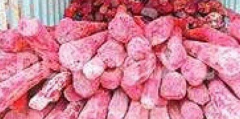 പ്രതീകാത്മക ചിത്രം