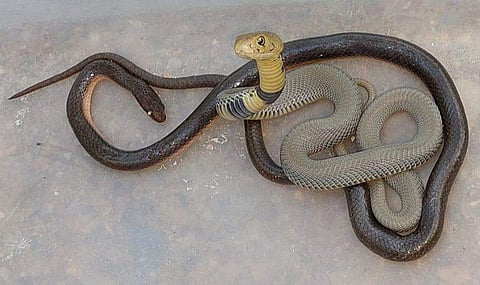 ഫോട്ടോ: ഫെയ്സ്ബുക്ക്