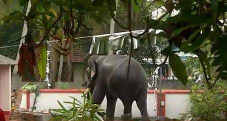 വീഡിയോ ദൃശ്യം