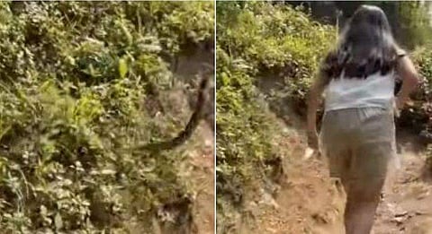 വീഡിയോ ദൃശ്യം