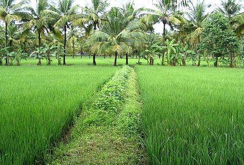 പ്രതീകാത്മക ചിത്രം