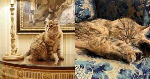 ഫോട്ടോ: ഇൻസ്റ്റ​ഗ്രാം