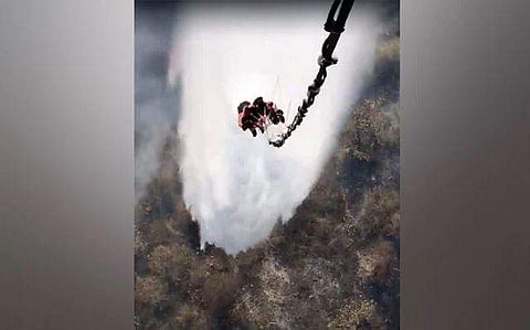 രാജസ്ഥാനിലെ കടുവ സങ്കേതത്തിലുണ്ടായ തീപിടിത്തം