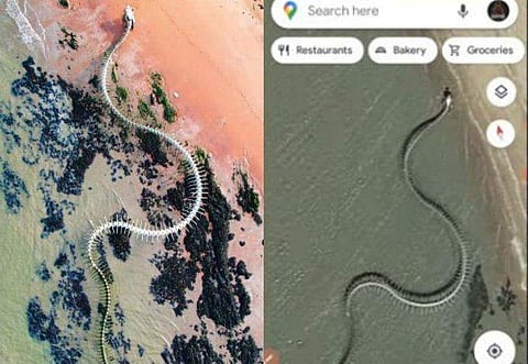 വീഡിയോ സ്ക്രീൻഷോട്ട്