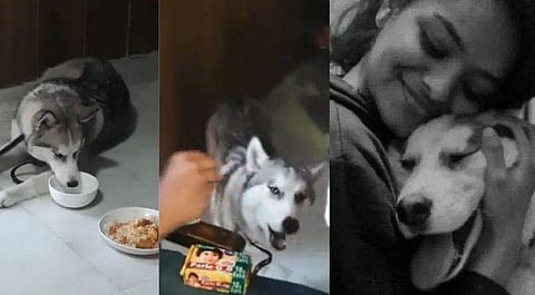 വീഡിയോ ദൃശ്യം