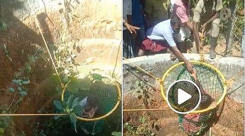 വിഡിയോ ദൃശ്യം