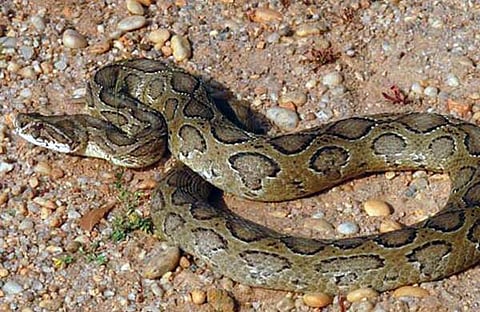 പ്രതീകാത്മക ചിത്രം