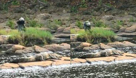 വിഡിയോ സ്ക്രീൻഷോട്ട്