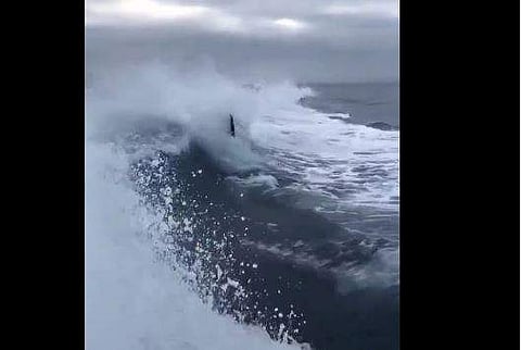 സ്പീഡ് ബോട്ടിന്റെ പിന്നാലെ പായുന്ന ഓര്‍ക്ക തിമിംഗലം