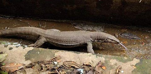 ദി ന്യൂ ഇന്ത്യന്‍ എക്‌സ്പ്രസ് ഫോട്ടോ