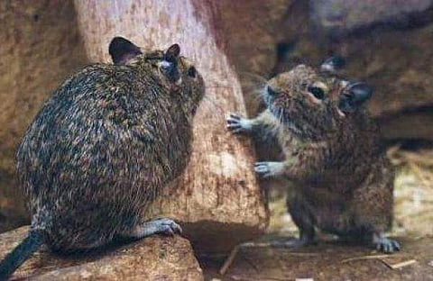 ഫയല്‍ ചിത്രം